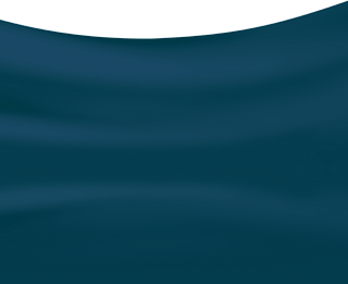 Bottom Curtain